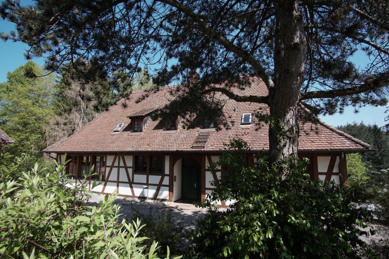 Hotel&Tagungszentrum Schloss Hohenfels Hohenfels  Exterior foto