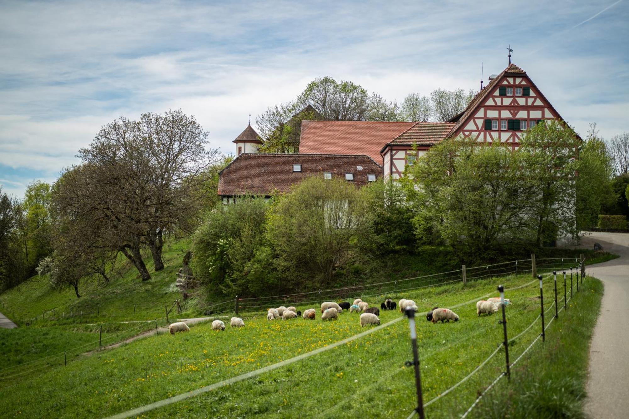 Hotel&Tagungszentrum Schloss Hohenfels Hohenfels  Exterior foto